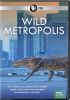 Go to record Wild metropolis