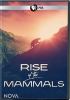 Go to record Rise of the mammals