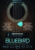 Go to record Bluebird : an accidental landmark that changed music history