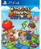Go to record Harvest moon : mad dash