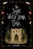Go to record The secret of White Stone Gate