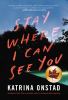 Go to record Stay where I can see you : a novel