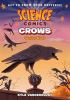 Go to record Crows : genius birds
