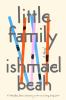 Go to record Little family : a novel