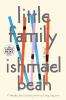Go to record Little family : a novel