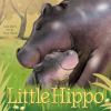 Go to record Little Hippo