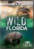 Go to record Nature. Wild Florida.