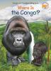 Go to record Where is the Congo?