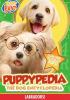 Go to record Puppy-pedia the dog encyclopedia. Labradors