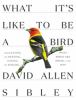 Go to record What it's like to be a bird : what birds are doing, and wh...