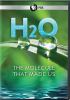 Go to record H2O : the molecule that made us
