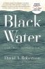 Go to record Black Water : family, legacy and blood memory