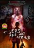 Go to record Tigers are not afraid