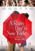 Go to record A rainy day in New York