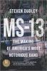 Go to record MS-13 : the making of America's most notorious gang