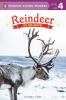Go to record Reindeer : on the move!