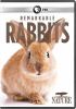 Go to record Remarkable rabbits