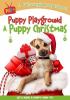 Go to record Puppy playground. A puppy Christmas