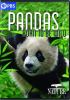Go to record Pandas : born to be wild