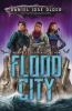 Go to record Flood City