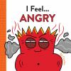Go to record I feel... angry