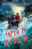 Go to record Wild river : a novel