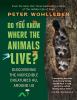 Go to record Do you know where the animals live? : discovering the incr...