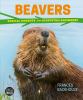 Go to record Beavers : radical rodents and ecosystem engineers
