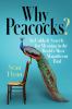 Go to record Why peacocks? : an unlikely search for meaning in the worl...