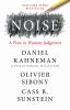 Go to record Noise : a flaw in human judgment
