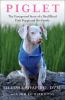 Go to record Piglet : the unexpected story of a deaf, blind, pink puppy...