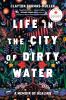 Go to record Life in the city of dirty water : a memoir of healing