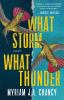 Go to record What storm, what thunder : a novel