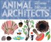 Go to record Animal architects