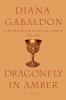 Go to record Dragonfly in amber : a novel