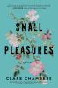 Go to record Small pleasures : a novel