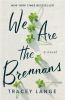 Go to record We are the Brennans : a novel