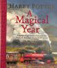 Go to record Harry Potter : a magical year