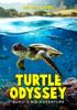Go to record Turtle odyssey