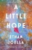 Go to record A little hope : a novel