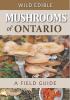Go to record Wild edible mushrooms of Ontario