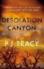 Go to record Desolation Canyon : a mystery