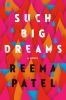 Go to record Such big dreams : a novel
