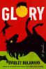 Go to record Glory : a novel