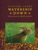 Go to record Watership Down
