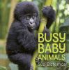 Go to record Busy baby animals