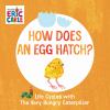Go to record How does an egg hatch? : life cycles with the very hungry ...