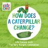 Go to record How does a caterpillar change? : life cycles with the very...