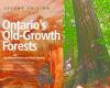 Go to record Ontario's old-growth forests : a guidebook complete with h...