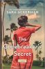 Go to record The codebreaker's secret : a novel